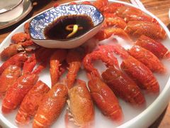 冰镇龙虾-马头巷·食景园(苏州总店)