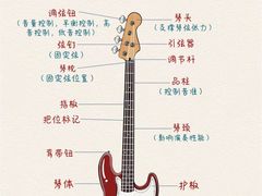 -TEMPO 音乐(五角场店)