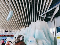 -长沙湘江冰雪世界