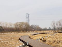 -永定河休闲森林公园