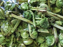 -民食香·腊排骨野生菌美食(木府店)