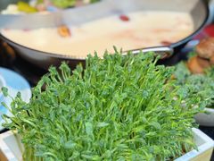 -捞王锅物料理(凯旋路店)