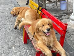 -八木轩·寻味大理白族民俗餐厅(文献路店)