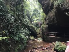 -赤水丹霞旅游区·佛光岩