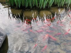 -徐记私厨(半淞园路店)