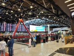 -谢列梅捷沃国际机场