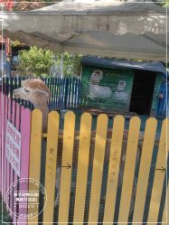 -萌宠亲子动物乐园(槐房万达店)