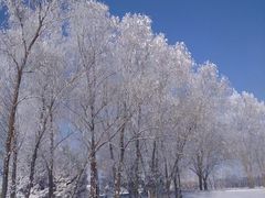 -人民防洪胜利纪念塔