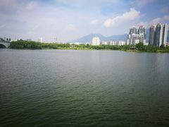 -飞来湖湿地公园