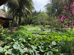 景观位-Mekong Rest Stop