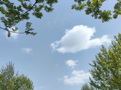 -桤木河湿地公园