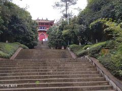 -铁山坪森林公园