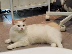 -元一肌肤管理中心