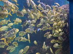 -多彩贵州城极地海洋世界