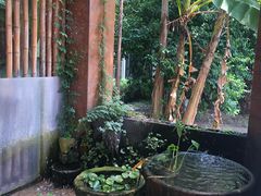-金稼园·金平湖农家菜