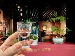 -泸州老窖景区