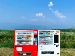 -野鸭湖国家湿地公园