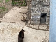 -哈尔滨北方森林动物园