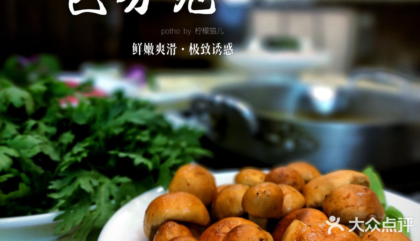 这什么神仙味道？？｜无辣不欢的四川人，居然被这汤锅征服了‼️