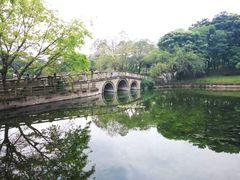 -塔子山公园