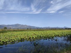 -野鸭湖国家湿地公园