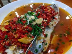 -全乐鱼馆·淳牌有机鱼直营店
