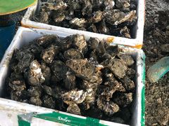 -蚝乡农庄(铁涌赤岸店)