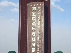 -御道口草原森林风景区