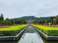 -东南花都花博园