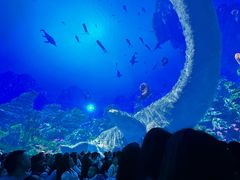 -海合安成都极地海洋公园