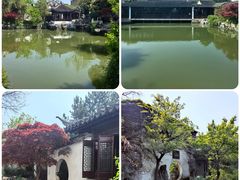 -艺圃
