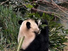 -泉州海丝野生动物世界