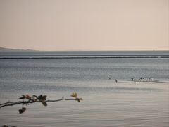 -贡湖湾湿地公园