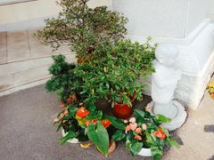 -滴水坊(星云文教馆店)