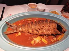 -阿五黄河大鲤鱼(英协路店)