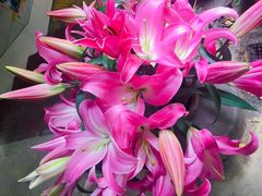 -园林美食城·本土农家菜(杨和镇店)