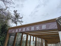 -仙岳公园