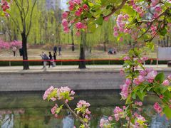 -元大都城垣遗址公园