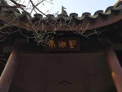 -香雪海