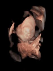 点击看大图 -北京俪婴妇产医院(朝阳大悦城店)