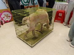 -万达广场(龙湖店)