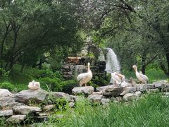 -北京野生动物园