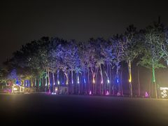 -枫花园汽车电影院(朝阳公园店)