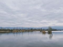 -西昌邛海湿地