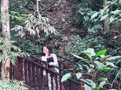 -西双版纳原始森林公园