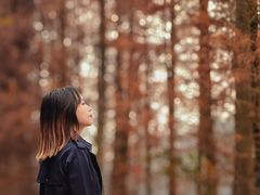 -三水森林公园