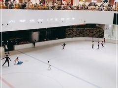 -TheRink大零溜冰场(IFS国金中心店)