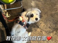 -邊渡咖啡