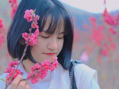 -天龙顶山地公园