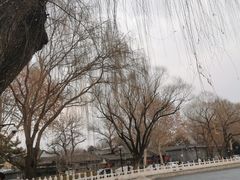-后海公园